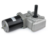 63mm DC Worm Gear Motor