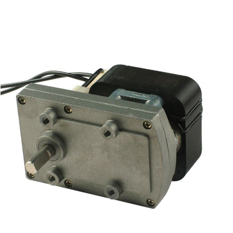 110V 220V AC Shaded Pole Gear Motor